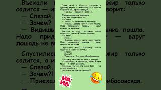 🤣 Зачем мы брали лошадь #humor #jokes #funny #comedy #standup #юмор #анекдоты #смешное