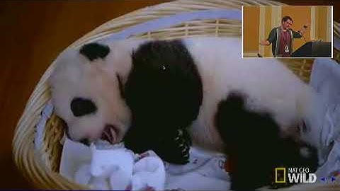 PYCON UK 2017: What Python Can Teach us about Beer