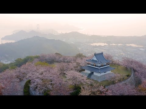 中村写真事務所