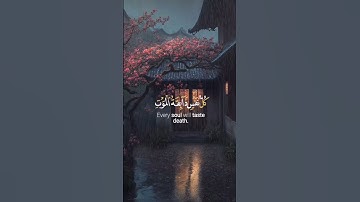 كل نفس ذائقة الموت - سورة العنكبوت - القارئ يوسف عثمان - تلاوة خاشعة مع صوت المطر - #واحة_القرآن
