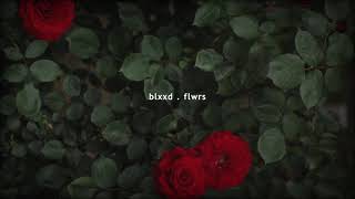 Bloodflow // Daycore