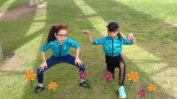 ADS Can’t Stop the Testing AZMerit Song