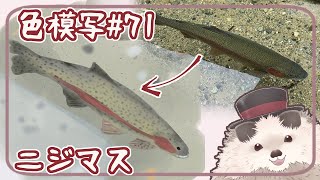 【一緒にお絵描き】色模写の火曜日＃７１【まったり朝活】