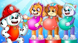 OMG...! Brewing Cute Pregnant & Baby Factory  Paw Patrol The Mighty Movie  Rainbow 3