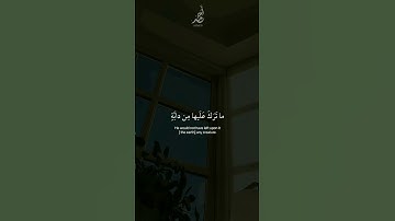 سورة النحل | القارئ : #عبدالرحمن_مسعد #quran #راحة_نفسية #viral #foryou #اجر_لي_ولكم 🤍.