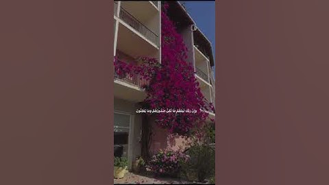 سورة النمل للقارئ اسلام صبحي(وان ربك ليعلم ما تكن صدورهم وما يعلنون ) #الراحة_النفسية #قران_كريم