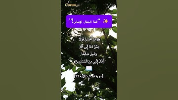 ﴿وَمَنْ أَحْسَنُ قَوْلًا ......﴾سورة فصلت (الآية 33) #اكسبلور #خشوع #لايك #دعاء_اليوم #ترند