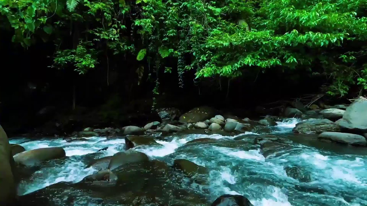 Dark Jungle River Flow – Deep Sleep Nature Sound with Rushing Water Sound