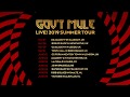 Gov't Mule Live! 2019 Europe Tour