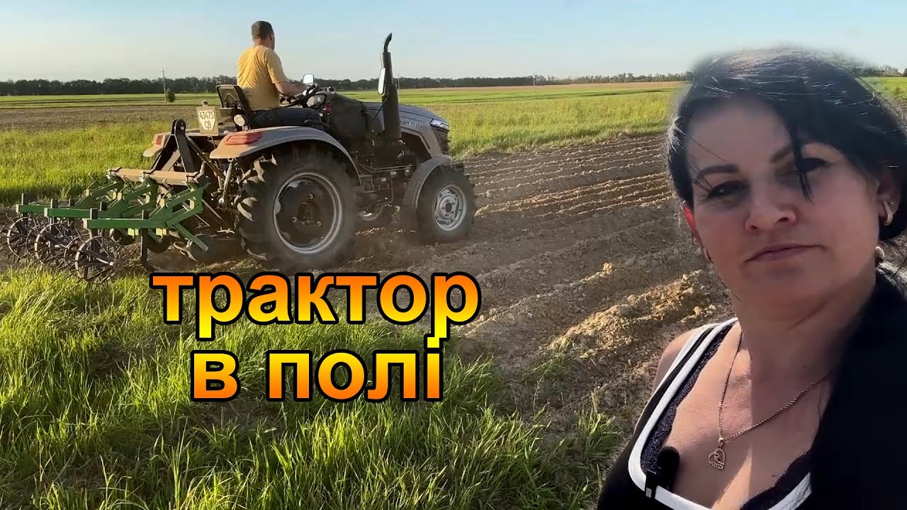 Картопля після дощів заростає. Обробка трактором CКАУТ TY254