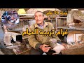 حكاية غرام تربية الحمام مع العم عيسى و أسرار نجاحه Les Secrets Pour Réussir L élevage Des Pigeons 
