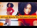 DIY Last Minute 70&#39;s Halloween Costume (Hair, Makeup, Outfit) l HerGivenHair