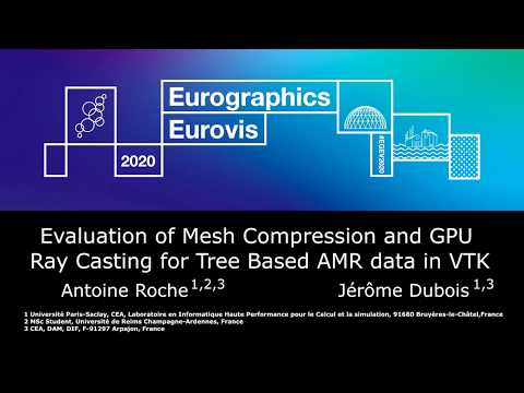 Eurovis Poster: Evaluation of Mesh Compression and GPU Ray Casting for Tree Based AMR data in VTK