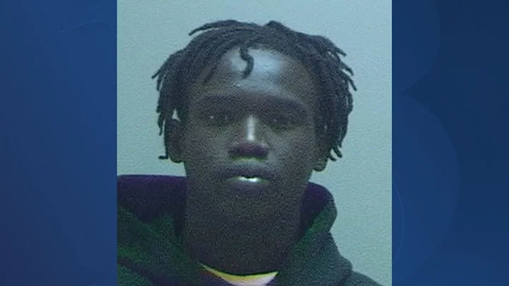 Criminal history of Aaron Lowe's accused murderer