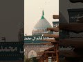 #imamzamana #shia #shianeali #shiastatus #iran #imammahdi #mesumabbas #nohay #shiawhatsappstatus