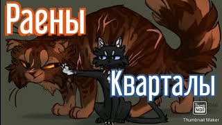 Коты Воители. Клип Звездоцап И Бич-Районы, Кварталы