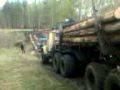 timber truck камаз лесовоз сортиментовоз logging truck