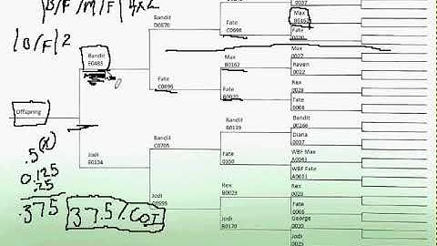 Coefficient of Inbreeding Explanation