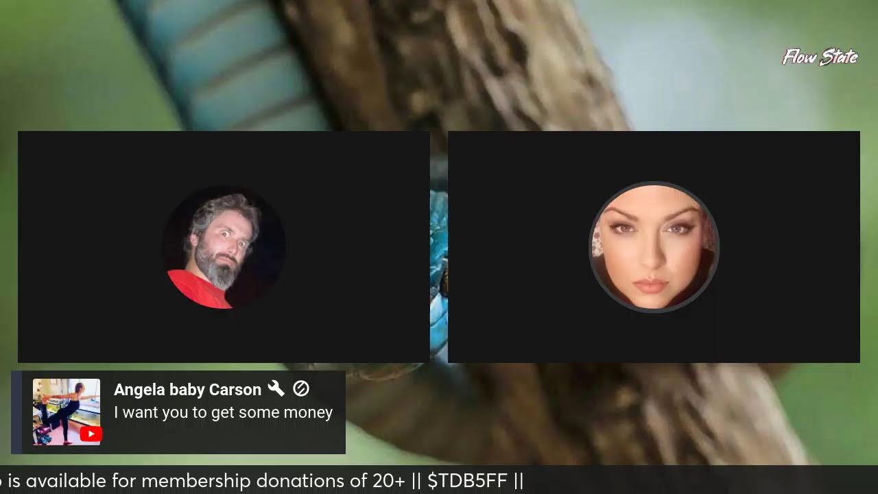 bro state ponders the panelverse