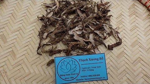 THẠCH XƯƠNG BỒ : Vị thuốc cổ truyền có tác dụng khai khiếu