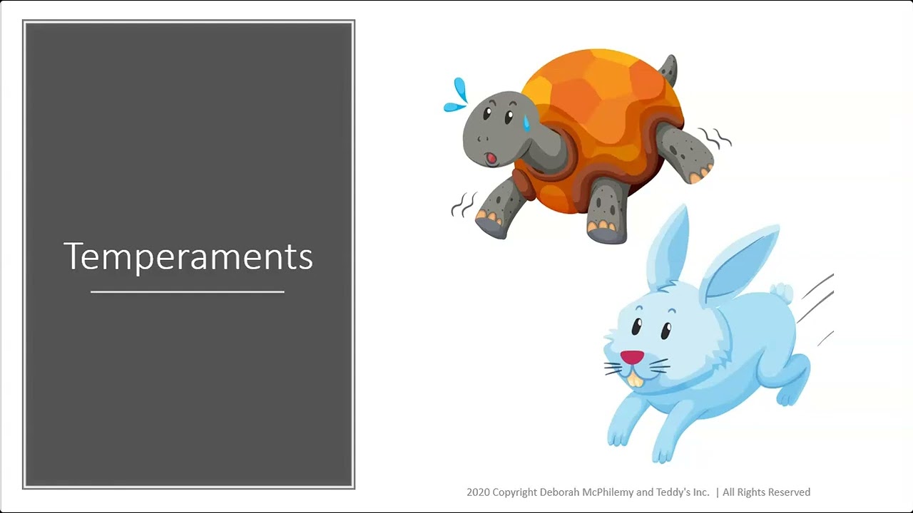 Understanding Your Child's Temperament