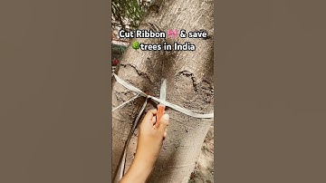 Cut Ribbon 🎀 & save 🌳trees in India / We Saved Lakhs Of Tree 🌳 in india 🇮🇳 #savetrees