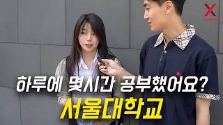 하루에 몇 시간 공부해야 서울대학교 합격할 수 있을까? 수시, 정시, 의대 합격 공부량