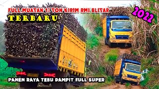 TRUK PENGANGKUT TEBU DI DI KEBUN PEGUNUNGAN DAMPIT MALANG PADA MUSIM GILING 2022