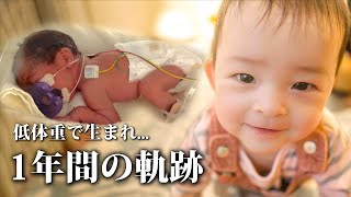 【本日】ろな1歳の誕生日 - 低体重で生まれた1年間の軌跡ドキュメント