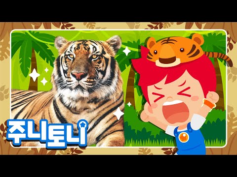 🐯어흥 호랑이의 해 | 올해를 상징하는 동물은? | 호랑이 특징 | 설날 연휴 | 새해 복 많이 받으세요 | 동물동요 | 주니토니 | JunyTony