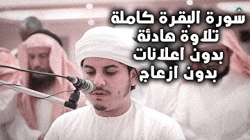 (راحة نفسية | سورة البقرة تلاوة مؤثرة جدا بصوت القارئ هزاع البلوشي (بدون اعلانات