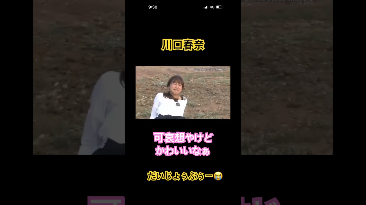川口春奈　動物に威嚇される　グラサンになりたい年頃　ビックリしてるけどカワイイ　#shorts #short #女優　#お笑い #芸人　#面白い
