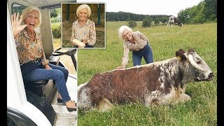 ✅  Mary Berry tries her hand at cheesemaking and makes friends with a Longhorn bull during special g