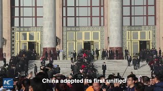 China adopts first unified foreign investment law