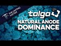 Talga Resources // Natural Anode Dominance in Europe