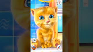 You Won't Believe Ginger's Mastery! 🏆 Epic Wins Ahead! 🐱🔥