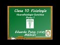 Clase 10 Fisiología - Neurofisiología Sensitivo 1