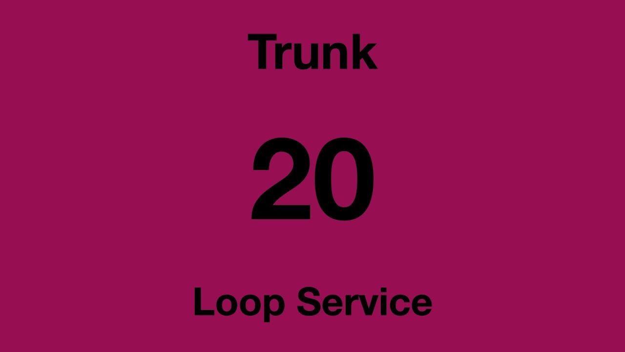 [SBS Transit] Trunk Bus Service 20 Hyperlapse