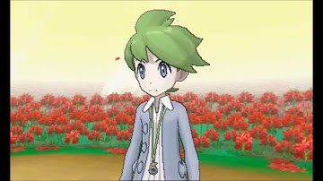 Pokemon Omega Ruby/Alpha Sapphire - Walkthrough Part 18 - Victory Road