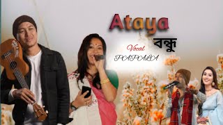 NEW MISING SONG 2024//PAPALA MILI//#apangmili//#papalamili