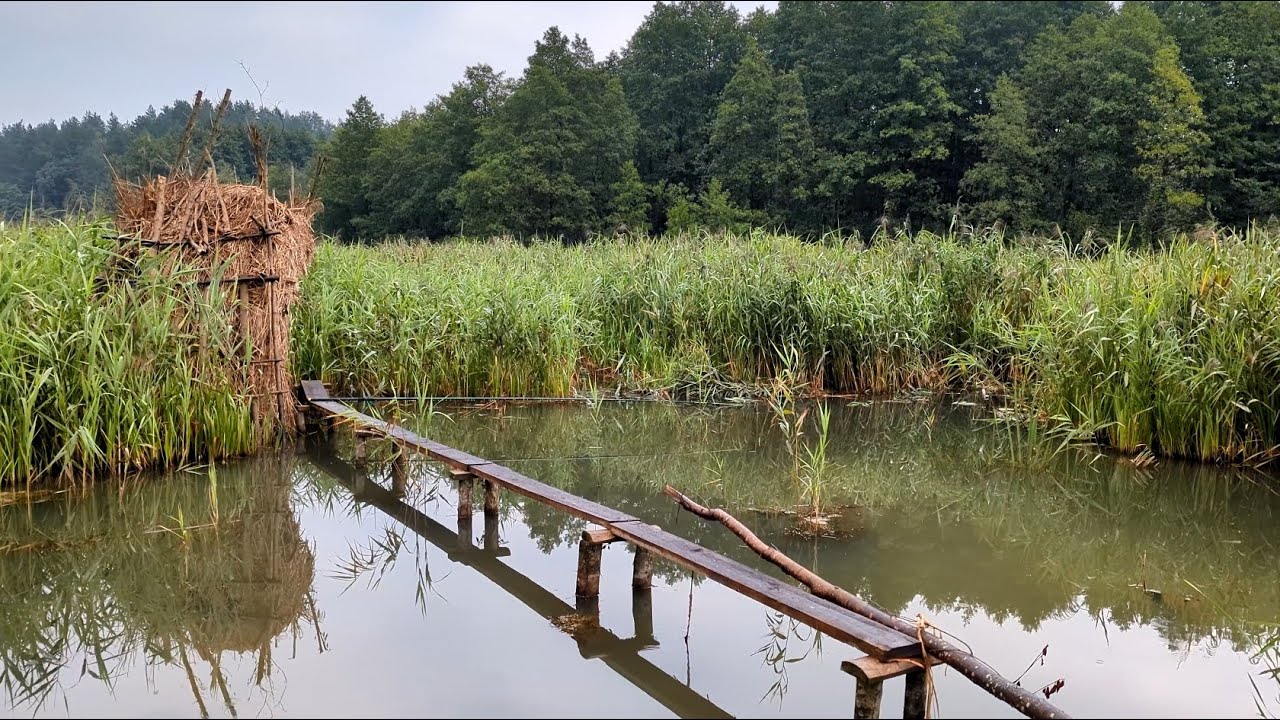 Рыбалка на зонтики. В шалаше живет норка!