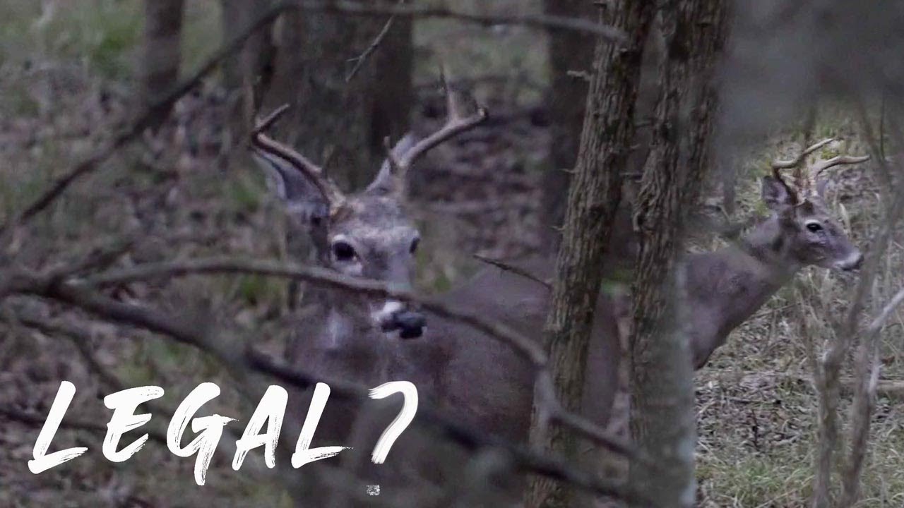 ARE THESE BUCKS LEGAL?? | Party Hunting Public Land Deer in Texas