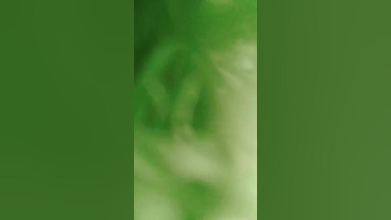 8. kesäkuuta 2023 - YouTube
