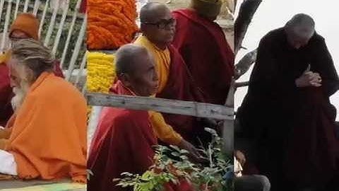 NZCSI: The Contemplative Responses to the Sense of Self Study