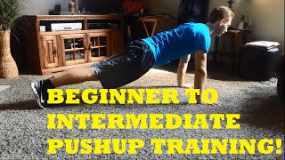 How To Increase Your Push Ups INSTANTLY! (Beginner/Intermediate Training)