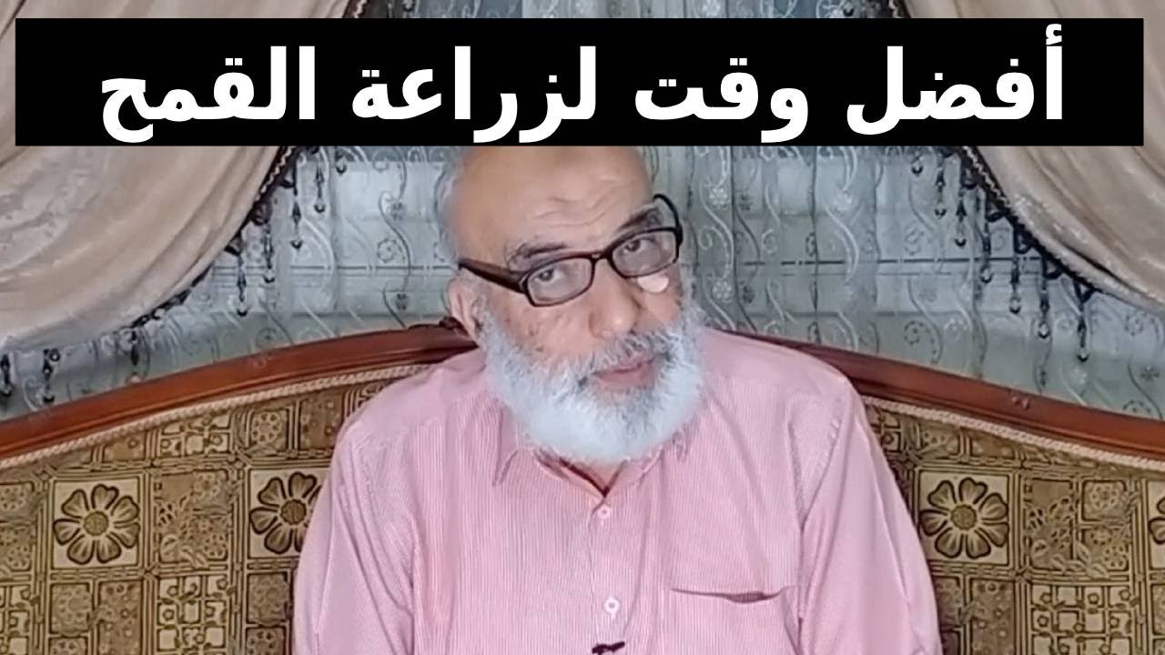 زراعة القمح | أفضل وقت لزراعة القمح | معاملات التسميد وطرق الزراعة في القمح