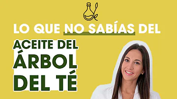 ¿Pones aceite de árbol de té en el champú o acondicionador para los piojos?