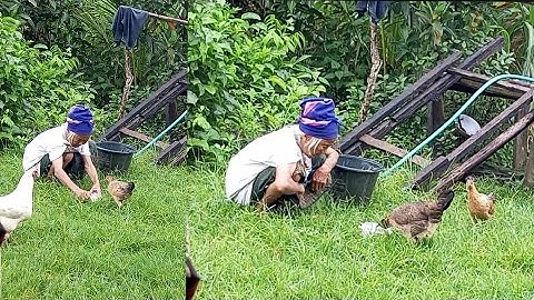 nyob zoo os los saib nyaaj plab pub qaib os