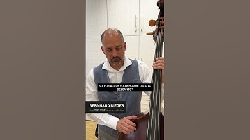 PETER INFELD® strings for double bass vs BELCANTO® and SPIROCORE®