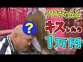 【街頭ドッキリ】「クロちゃんとキス出来たら１万円…頂きます」